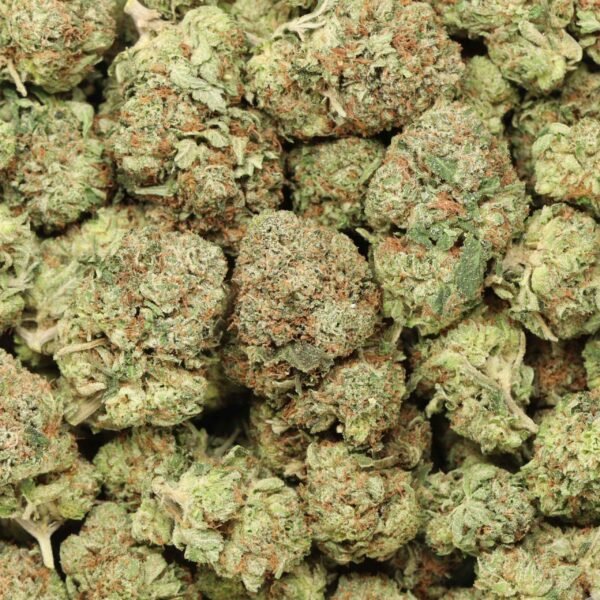 Larry OG - Image 3