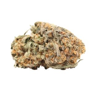 Master Kush