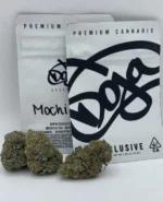 MOCHI DOJA - Image 2